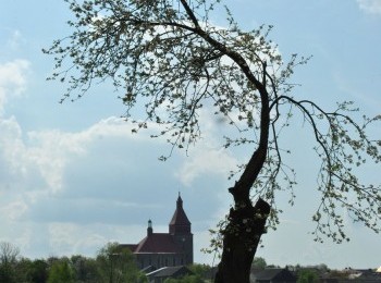 1577550851_foto03.jpg