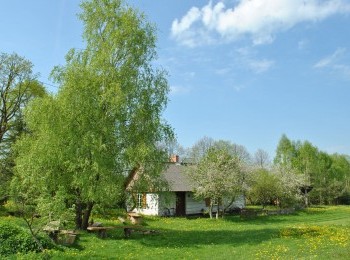 1577550851_foto05.jpg