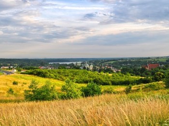 1577575124_panorama_klimontowa.jpg