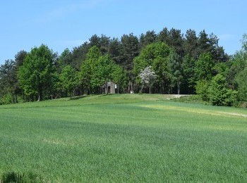 1614944411_borkowice3.jpg