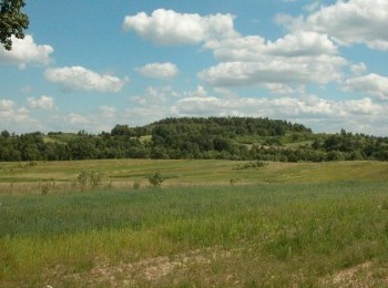 1614944411_borkowice4.jpg