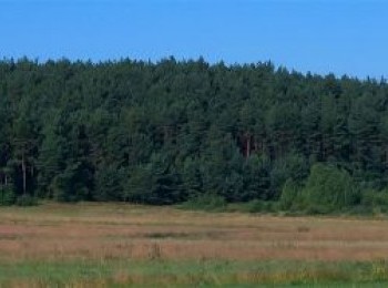 1614974621_babia_gora_mirow__kopia.jpg