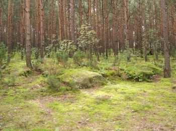 1614974621_dsc05688_mirow__kopia.jpg
