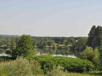 1664199468_zdjecia_zrodla_stare_wislisko_for._marcin_pater_(16).jpg