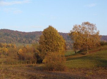 1687774734_to2.jpg