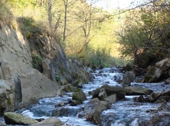 1687774736_to3.jpg