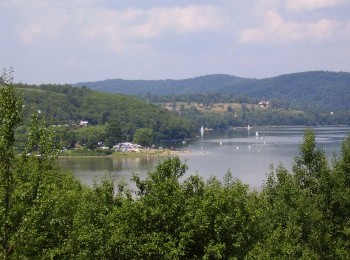 1687774742_tt3.jpg