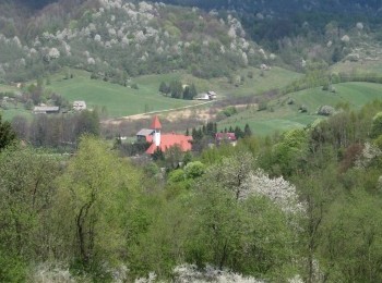 1687775172_tt4.jpg