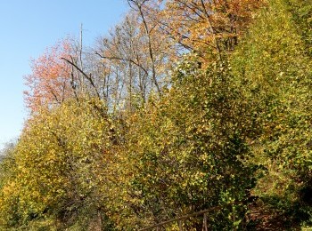 1687787305_to3.jpg