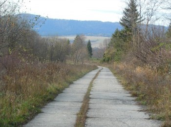 1687787311_tt3.jpg