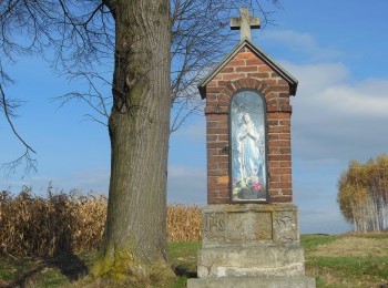 1688101212_4.jpg
