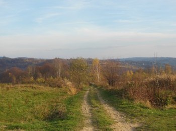1688102856_2.jpg