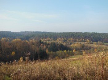 1688102862_5.jpg