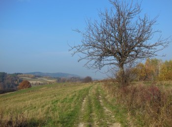 1688102864_6.jpg