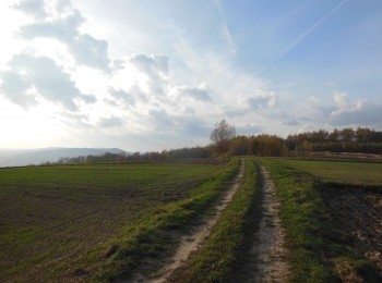1688102867_8.jpg