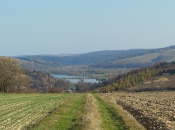 1688102898_4.jpg