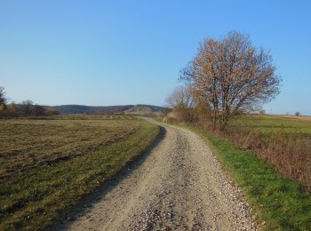 1688102900_5.jpg