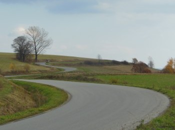 1688102903_7.jpg