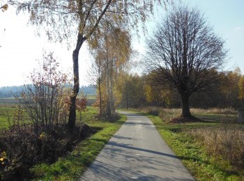 1688102927_7.jpg
