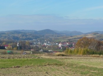 1688102946_2.jpg