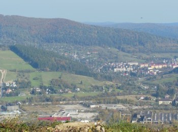 1688107660_to4.jpg