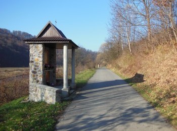 1688108501_tt2.jpg